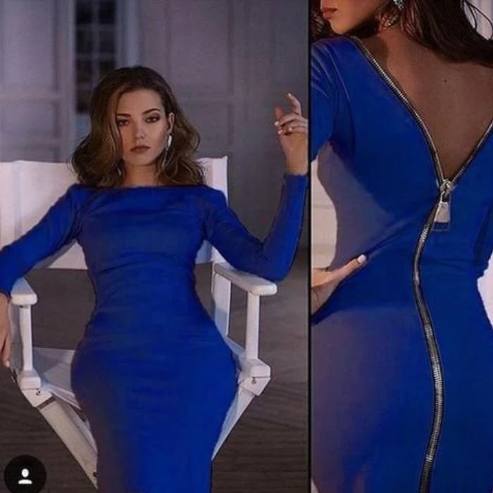 Bernadeth Bodycon-Kleid mit langem Reißverschluss hinten
